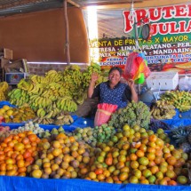 Fruits of Moquegua